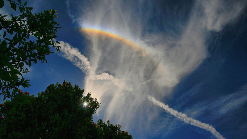 Illustration for article titled These Otherworldly Halos Turn Our Sun Into The Eye Of Sauron